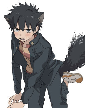 Rule 34 | 1boy, a certain high school uniform, animal ears, black hair, black jacket, black pants, commentary request, gakuran, highres, if959u, jacket, kamijou touma, long sleeves, male focus, open clothes, open jacket, orange shirt, pants, school uniform, shirt, shoes, short hair, simple background, sitting, sneakers, solo, spiked hair, tail, toaru majutsu no index, white background, white shoes, winter uniform