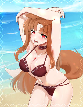 1girl animal_ears arms_up beach bikini breasts brown_hair cleavage collar cowboy_shot ears_down fang highres holo large_breasts long_hair looking_at_viewer open_mouth paipukoron417 red_bikini red_eyes sidelocks solo spice_and_wolf swimsuit tail water wolf_ears wolf_tail