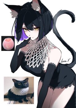 1girl absurdres animal_ear_fluff animal_ears apple artist_name black_cat black_dress black_gloves breasts cat cat_ears cat_girl cat_tail closed_mouth commentary dress elbow_gloves food fruit gloves highres leria_v looking_at_viewer mole mole_on_breast mole_on_leg mole_under_eye original photo_inset reference_inset simple_background symbol-only_commentary tail white_background yellow_eyes
