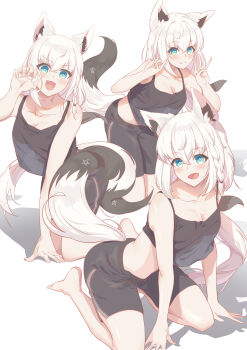 1girl absurdres animal_ear_fluff animal_ears black_bow black_shirt black_shorts blush bow braid breasts claw_pose cleavage commentary_request double_fox_shadow_puppet fox_ears fox_girl fox_shadow_puppet fox_tail green_eyes hair_between_eyes hair_bow highres hololive kneeling long_hair looking_at_viewer open_mouth pentagram rimudoya shirakami_fubuki shirt shorts sidelocks simple_background single_braid sitting solo sportswear tail virtual_youtuber wariza white_background white_hair