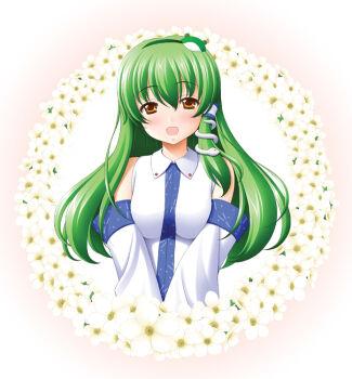 1girl breasts detached_sleeves female_focus flower frog green_hair hair_ornament hair_tubes kochiya_sanae long_hair sin-go single_hair_tube snake solo touhou yellow_eyes