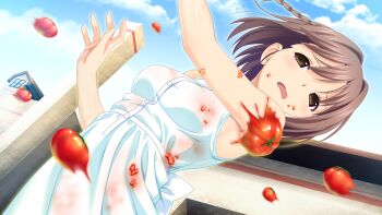 10s 1girl brown_eyes brown_hair game_cg highres kitami_minamo koutaro open_mouth short_hair tomato tropical_kiss tropical_vacation twinkle_(company)