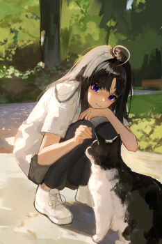 1girl :3 absurdres awa_subaru black_hair black_pants cat chinese_commentary commentary_request dappled_sunlight girls_band_cry highres long_hair outdoors pants parted_bangs purple_eyes shirt shoes short_sleeves solo squatting sunlight white_shirt white_shoes y_feng_l