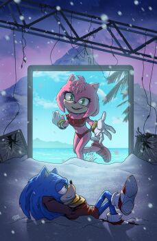 absurdres amy_rose beach bikini blue_fur blue_hair bluearts bra crocs gloves green_eyes highres lying ocean paramount_pictures pink_fur pink_hair scarf sega shoes smile snow socks sonic_(live_action) sonic_(series) sonic_the_hedgehog sonic_the_hedgehog_3_(movie) sweater swimsuit underwear