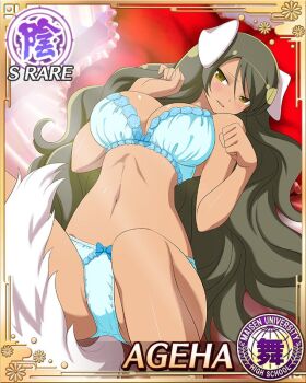 1girl ageha_(senran_kagura) animal_ears blue_bra blue_panties border bra breasts brown_eyes brown_hair card_(medium) character_name cleavage dog_ears dog_girl dog_tail game_cg lace lace-trimmed_bra lace_trim large_breasts long_hair looking_up lying navel official_alternate_costume official_art on_back on_bed panties parted_lips paw_pose seductive_smile senran_kagura senran_kagura_new_wave smile solo spread_legs sunlight swept_bangs tail underwear very_long_hair wavy_hair white_tail