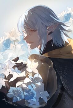 Rule 34 | 1boy, absurdres, armor, chainmail, closed mouth, commentary, elezen, elf, english commentary, final fantasy, final fantasy xiv, flower, grey background, hair behind ear, haurchefant greystone, highres, katagawa mika, long pointy ears, looking back, male focus, pauldrons, pointy ears, shoulder armor, smile, solo, twitter username, upper body, white flower, white hair, yellow eyes