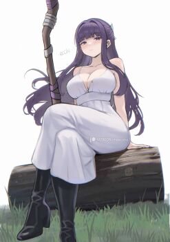 1girl absurdres black_boots boots breasts chascoby cleavage closed_mouth crossed_legs dress fern_(sousou_no_frieren) full_body grass highres holding holding_staff large_breasts log long_hair looking_at_viewer purple_eyes purple_hair sitting solo sousou_no_frieren staff very_long_hair white_dress