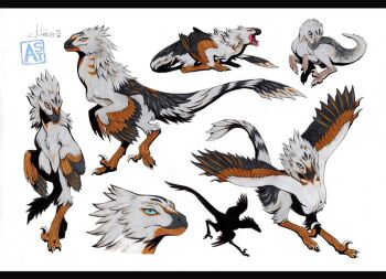 animal_focus artist_name astarcis claws closed_mouth dinosaur dynamic_pose fangs feathered_dinosaur feathers full_body multiple_views no_humans open_mouth original raptor reference_sheet sharp_teeth simple_background tail teeth velociraptor watermark