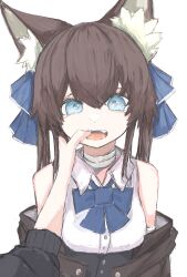 Rule 34 | 1girl, 1other, absurdres, animal ear fluff, animal ears, bandaged neck, bandages, bare shoulders, blue bow, blue eyes, bow, breasts, brown hair, brown jacket, collared shirt, commentary request, dress shirt, fangs, finger in another&#039;s mouth, hair between eyes, hair bow, highres, jacket, long hair, long sleeves, looking at viewer, medium breasts, off shoulder, open clothes, open jacket, open mouth, original, out of frame, piennamekuzi, puffy long sleeves, puffy sleeves, shirt, simple background, sleeveless, sleeveless shirt, solo focus, white background, white shirt