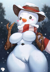 Rule 34 | blush, breasts, genderswap, hat, niniidawns, pussy, scarf, snow, snowman, thick thighs, thighs