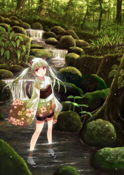 1girl animal_ears bike_shorts cat_ears cat_tail female_focus floral_print flower forest grass highres japanese_clothes kimono leaf long_hair long_sleeves looking_at_viewer moss nature obi original partially_submerged petals red_eyes river rock sandals sash scenery short_kimono silver_hair sleeves_past_wrists socks solo standing tail twintails wading water yakka