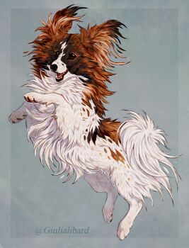 animal animal_focus brown_fur dog fluffy giulialibard highres large_ears multicolored_fur no_humans original papillon_(dog) realistic rearing simple_background solo white_fur
