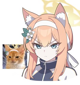 Rule 34 | 1girl, absurdres, animal ear fluff, annoyed, blue archive, blue eyes, cat, cellphone photo, flower, hair flower, hair ornament, hairband, halo, highres, jacket, long hair, looking at viewer, mari (blue archive), mari (track) (blue archive), official alternate costume, orange hair, track jacket, vector (dmlddmld00), white hairband, yellow halo