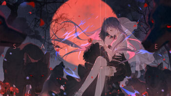 1boy absurdres ayn_alwyn ayn_alwyn_(spirit_world) bare_tree black_cape black_gloves black_hair black_skirt bracer braid cape carrying child_carry claws closed_mouth commissioner_insert cowboy_shot eye_contact falling_petals feet_out_of_frame flower frown full_moon fur-trimmed_cape fur_trim gloves hair_between_eyes half_up_braid head_chain highres holding holding_flower jewelry light_particles long_sleeves looking_at_another lovebrush_chronicles midriff miniskirt moon night noo-oo oc_x_canon original petals plunging_neckline poppy_(flower) purple_hair red_eyes red_flower red_moon red_petals sample_watermark see-through_clothes see-through_shirt see-through_veil shirt skirt sleeveless sleeveless_shirt swept_bangs thighlet tree veil watermark white_shirt white_veil wolf wolf_boy yellow_eyes