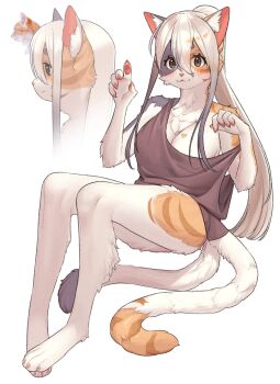 1girl :3 animal_ears bare_legs barefoot black_fur breasts brown_eyes brown_hair brown_shirt cat_ears cat_girl cat_tail closed_mouth etivka feet furry furry_female gradient_hair haru_(etivka) highres long_hair multicolored_hair multiple_tails multiple_views off_shoulder orange_fur original shirt smile tail toes white_fur white_hair