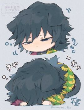 1boy animal_ears black_hair black_jacket blue_eyes buttons chibi chibi_only demon_slayer_uniform gold_buttons half-closed_eyes haori high_collar jacket japanese_clothes kikkoumon kimetsu_no_yaiba low_ponytail male_focus momomo_3ku multiple_views ponytail print_haori red_haori sleeping solo spiked_hair tomioka_giyuu watermark