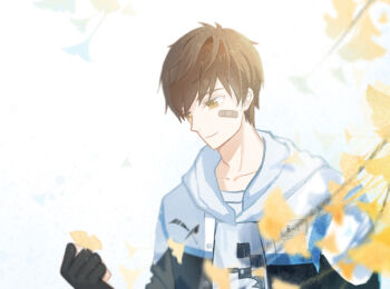 Rule 34 | 1boy, autumn, bai qi (love and producer), bandaid, bandaid on cheek, bandaid on face, black gloves, black jacket, branch, brown eyes, brown hair, buttons, checkered clothes, checkered shirt, closed mouth, collarbone, commentary request, downturned eyes, eyelashes, fingerless gloves, ginkgo leaf, gloves, hair between eyes, happy, highres, holding, holding leaf, hood, hood down, hooded jacket, jacket, leaf, light particles, long sleeves, looking at object, love and producer, male focus, messy hair, miqing, multicolored jacket, nostrils, pointy nose, puffy long sleeves, puffy sleeves, shirt, short hair, smile, solo, two-tone jacket, upper body, white background, white jacket, white shirt
