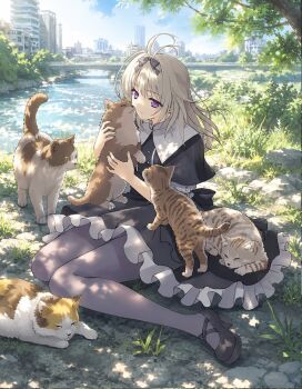 1girl black_dress black_ribbon black_shoes blue_sky casual cat city commentary_request cuddling dress grass grey_hair highres long_hair meitantei_precure! moria_luluka precure purple_eyes ribbon river shoes sitting sky socks solo yamamoto_kazue