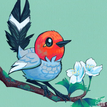 absurdres beak bird fletchling flower full_body gen_6_pokemon green_background hermitollien highres nintendo no_humans on_branch pokemon pokemon_(creature) signature simple_background solo white_flower