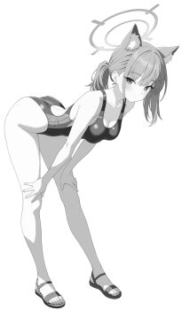 Rule 34 | 1girl, absurdres, akagi koku, animal ear fluff, animal ears, blue archive, breasts, commentary, competition swimsuit, covered navel, cross hair ornament, extra ears, full body, greyscale, hair ornament, halo, hands on own thighs, highres, looking at viewer, low ponytail, medium breasts, medium hair, mismatched pupils, monochrome, multicolored swimsuit, official alternate costume, one-piece swimsuit, ponytail, sandals, shiroko (blue archive), shiroko (swimsuit) (blue archive), solo, swimsuit, wolf ears