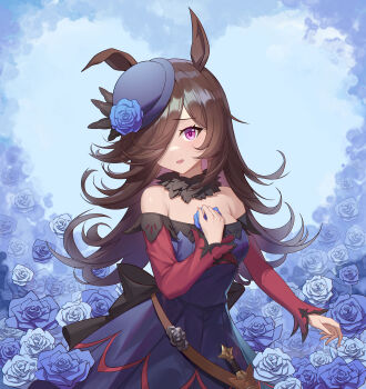 1girl :d absurdres animal_ears armpit_crease bare_shoulders black_hair blue_background blue_dress blue_flower blue_hat blue_rose breasts commentary cowboy_shot dress flower fur_collar hair_over_one_eye hat highres horse_ears horse_girl knife long_hair long_sleeves looking_at_viewer medium_breasts open_mouth purple_eyes rice_shower_(rosy_dreams)_(umamusume) rice_shower_(umamusume) rose sheath sheathed smile solo tutuxia umamusume