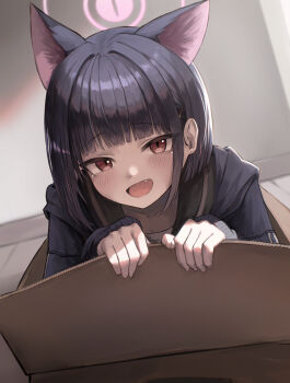 :d animal_ears black_hair black_hoodie blue_archive box cardboard_box cat_ears cat_girl colored_inner_hair extra_ears fang halo highres hood hood_down hoodie in_box in_container kazusa_(blue_archive) lazy_jeyuk_bokkeum long_sleeves looking_at_viewer multicolored_hair open_mouth pink_eyes pink_hair sailor_collar short_hair smile