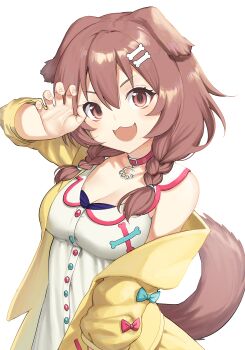1girl 9nojo animal_ears blush bone_hair_ornament braid breasts brown_eyes brown_hair cleavage commentary dog_ears dog_girl dog_tail female_focus hair_between_eyes hair_ornament highres hololive inugami_korone inugami_korone_(1st_costume) jacket long_hair looking_at_viewer off_shoulder open_mouth simple_background smile solo tail twin_braids virtual_youtuber white_background