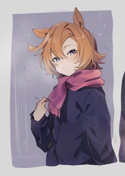 Rule 34 | 1girl, amano (amano miko), animal ears, blue coat, buttons, closed mouth, coat, commentary request, cropped torso, double-breasted, hair between eyes, highres, horse ears, horse girl, long sleeves, looking at viewer, orange hair, pink scarf, purple eyes, scarf, school uniform, short hair, solo, t.m. opera o (umamusume), tracen school uniform, tracen winter coat, umamusume, winter clothes, winter coat