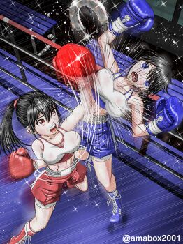 Rule 34 | 2girls, amabox, boxing gloves, boxing ring, breasts, catfight, fighting, highres, large breasts, multiple girls, shorts, tagme