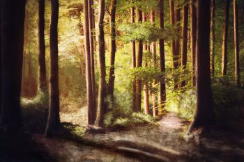 chinese_commentary commentary_request day forest highres mixed-language_commentary nature no_humans original outdoors path road scenery sunlight tree zaq_(pgvc4472)