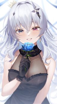 1girl absurdres bare_shoulders black_dress black_gloves blue_eyes blue_flower blue_rose blush breasts covered_collarbone cross cross-shaped_pupils cross_hair_ornament crown dress earrings flower frilled_dress frills gloves grey_hair hair_between_eyes hair_ornament heterochromia highres holding holding_flower horo_27 inverted_cross jewelry lace lace-trimmed_dress lace_trim large_breasts light_smile long_hair mini_crown neo-porte parted_lips pink_eyes rose see-through_cleavage see-through_clothes sleeveless smile solo sparkle symbol-shaped_pupils teeth tentei_forte triangle_earrings turtleneck turtleneck_dress upper_body virtual_youtuber