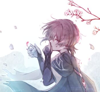 1boy armor blue_sleeves blunt_ends branch bridal_gauntlets capelet cherry_blossoms commentary covering_own_mouth disintegration eyelashes falling_petals flower from_side furisode genshin_impact grey_bridal_gauntlets grey_capelet grey_hair hand_over_own_mouth hands_up japanese_armor japanese_clothes kimono kote kurokote layered_sleeves looking_to_the_side male_focus middle_ring mpginyuu muted_color outdoors petals pink_flower pink_petals purple_eyes scaramouche_(genshin_impact) short_sleeves solo symbol-only_commentary tsurime wanderer_(genshin_impact) watermark white_background white_petals white_sleeves