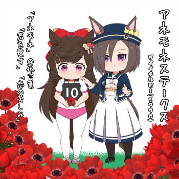 2girls air_groove_(umamusume) animal_ears black_pantyhose black_shoes blue_hat blue_jacket blush bow braid brown_hair buruma capriccyo closed_mouth collared_shirt commentary_request daiichi_ruby_(umamusume) drill_hair ear_bow ears_through_headwear eyes_visible_through_hair flower hand_on_another's_shoulder hat highres holding holding_flower horse_ears horse_girl horse_tail jacket long_hair multiple_girls nakayama_racecourse nose_blush open_clothes open_jacket original_race_uniform_(umamusume) pantyhose pantyhose_under_buruma pink_buruma pleated_skirt puffy_short_sleeves puffy_sleeves purple_eyes race_bib red_flower shirt shoes short_sleeves side_drill simple_background skirt smile standing tail thumbs_up twin_drills twitter_username umamusume very_long_hair white_background white_bow white_pantyhose white_shirt white_shoes white_skirt yellow_bow