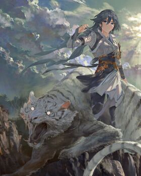 1girl absurdres animal black_hair blue_eyes blue_sky chinese_clothes closed_mouth cloud cloudy_sky commentary_request fu_hua grey_sky highres honkai_(series) honkai_impact_3rd long_hair long_sleeves looking_at_viewer outdoors shirt skavenprime sky solo tiger white_shirt white_tiger