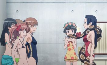 6+girls animated animated_gif bikini black_hair boa_constrictor bow breasts brown_hair cleavage clothing_cutout flat_chest floral_print flower front-tie_top hair_bow hair_flower hair_ornament head_wreath kongou_mitsuko long_hair micro_bikini misaka_mikoto multiple_girls navel navel_cutout one-piece_swimsuit open_mouth purple_hair sarong saten_ruiko scared shirai_kuroko short_hair snake swimsuit toaru_kagaku_no_railgun toaru_majutsu_no_index twintails uiharu_kazari