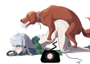 1boy 1girl ahegao ass bestiality blush bottomless breast_press breasts clothed_sex cum cum_in_pussy dog grey_hair heart huge_breasts impregnation long_hair open_mouth original ovum rolling_eyes saliva saliva_trail sex sex_from_behind simple_background tongue tongue_out top-down_bottom-up vaginal white_background