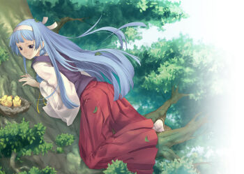 1girl absurdres baby_animal bird blue_hair blunt_bangs chick female_focus hairband highres in_tree kannagi leaf long_hair nagi pua purple_eyes sitting sitting_in_tree skirt socks solo tree white_socks