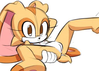 1girl brown_eyes cream_the_rabbit nipples nude pussy sonic_(series)