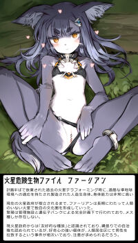 1girl animal_ear_fluff animal_ears bar_censor bikini bikini_bottom_aside black_bikini black_fur black_hair censored closed_mouth clothing_aside commentary_request furry furry_female heart highres long_hair looking_at_viewer lying on_back original paid_reward_available pussy shimada_fumikane smile solo swimsuit tail thick_eyebrows translation_request white_fur wolf_ears wolf_girl wolf_tail yellow_eyes