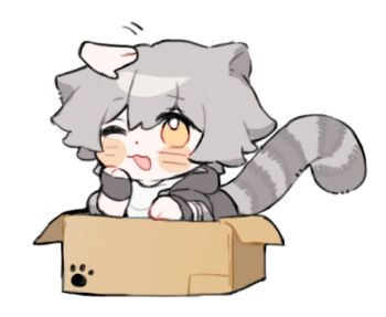 1boy 1other animal_ears black_coat black_gloves blush box caelus_(honkai:_star_rail) cat_ears cat_tail chibi chibi_only coat commentary_request fingerless_gloves gloves grey_hair hair_between_eyes hand_on_another's_head hand_on_own_face hand_up honkai:_star_rail honkai_(series) hood hooded_coat in_box in_container kemonomimi_mode leonrui long_sleeves looking_at_another lowres male_focus one_eye_closed open_clothes open_coat open_mouth petting shirt short_hair simple_background smile solo_focus t-shirt tail trailblazer_(honkai:_star_rail) white_background white_shirt yellow_eyes