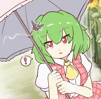 ... 2girls alternate_size antennae arthropod_girl ascot bilingual_commentary collared_shirt commentary english_commentary flower flying green_hair highres holding holding_umbrella insect_wings kazami_yuuka korean_commentary mini_person minigirl mirae_somang mixed-language_commentary multiple_girls open_clothes open_mouth open_vest parasol plaid_clothes plaid_skirt plaid_vest puffy_short_sleeves puffy_sleeves red_eyes red_vest shirt short_sleeves skirt skirt_set spoken_ellipsis sunflower touhou umbrella vest white_shirt wings wriggle_nightbug yellow_ascot yellow_flower