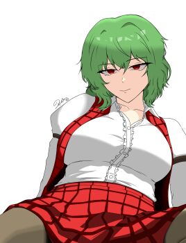 1girl absurdres akarikazami breasts collarbone highres kazami_yuuka large_breasts long_sleeves looking_at_viewer short_hair simple_background solo solo_focus