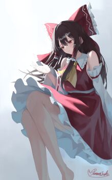 Rule 34 | 1girl, ascot, bow, brown hair, commentary request, detached sleeves, frilled bow, frilled hair tubes, frilled skirt, frills, hair bow, hair tubes, hakurei reimu, highres, long hair, pennosuke, red bow, red eyes, red skirt, signature, skirt, skirt set, solo, touhou, yellow ascot