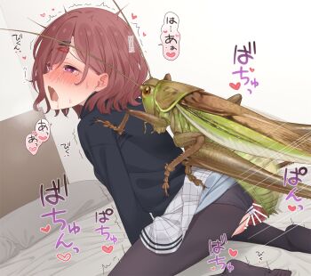 1girl bar_censor bed bestiality blush breasts brown_eyes brown_hair bug censored clothed_sex clothing_aside grasshopper heart higuchi_madoka idolmaster idolmaster_cinderella_girls insect japanese_text looking_at_viewer medium_breasts medium_hair neku_oneneko on_bed panties panties_aside pussy sex sex_from_behind speech_bubble thought_bubble underwear vaginal white_panties
