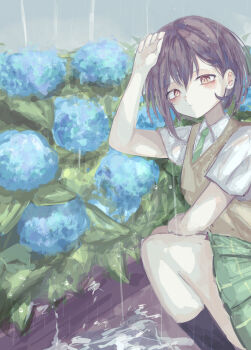 1girl absurdres bang_dream! bang_dream!_it&#039;s_mygo!!!!! black_socks blush brown_eyes brown_sweater_vest commentary flower green_necktie green_skirt grey_hair haneoka_school_uniform highres hydrangea latte_bf looking_at_viewer necktie parted_lips rain school_uniform shirt short_hair skirt socks solo squatting sweater_vest takamatsu_tomori white_shirt