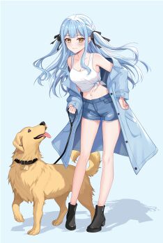 1girl absurdres bang_dream! bang_dream!_it&#039;s_mygo!!!!! bare_legs black_boots black_ribbon blue_hair blue_jacket blue_shorts boots breasts cleavage collar collarbone commentary crop_top dog full_body golden_retriever hair_ribbon highres holding holding_leash jacket leaning_forward leash long_sleeves navel ribbon shorts simple_background togawa_sakiko two_side_up xiongji_z_z yellow_eyes