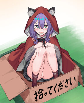 1girl absurdres animal_ear_fluff animal_ears aqua_pupils bar_censor black_bow black_skirt blush bow box braid braided_twintails bright_pupils cardboard_box censored center-flap_bangs cloak commentary_request double-parted_bangs full_body grey_shirt hair_between_eyes hands_on_own_knees highres hood hooded_cloak in_box in_container iroha_nanairo_(urushiushiru) knees_up little_red_riding_hood_(fairy_tale) long_bangs long_hair long_sleeves looking_at_viewer miniskirt no_panties open_mouth original purple_hair pussy raised_inner_eyebrows red_cloak red_eyes red_socks shirt sitting skirt socks solo straight-on striped_clothes striped_shirt tearing_up translation_request urushiushiru variant_set vertical-striped_clothes vertical-striped_shirt wolf_ears wolf_girl