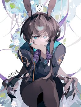 Rule 34 | 1girl, amiya (arknights), animal ears, arknights, ascot, black jacket, blue eyes, brown hair, brown pantyhose, character name, chinese commentary, closed mouth, commentary request, crossed legs, crown (symbol), flower, hair between eyes, head rest, highres, infection monitor (arknights), jacket, leaf, long hair, long sleeves, looking at viewer, pantyhose, purple ascot, qichachunyu, sitting, solo, white flower