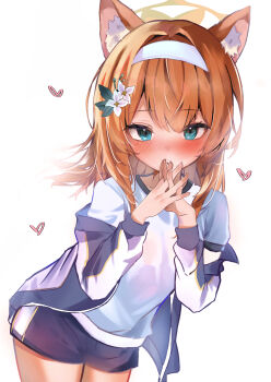 1girl absurdres animal_ear_fluff animal_ears blue_archive blue_eyes blush cat_ears commentary_request cowboy_shot flower gym_shirt gym_shorts gym_uniform hair_flower hair_ornament hairband halo heart highres jacket looking_at_viewer mari_(blue_archive) mari_(track)_(blue_archive) multicolored_jacket official_alternate_costume open_clothes open_jacket orange_hair own_hands_together partial_commentary shirt shorts simple_background solo touyu_raamenn track_jacket track_suit white_background white_flower white_hairband yellow_halo