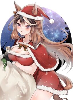 1girl :d absurdres animal_ears black_gloves bow breasts cape capelet christmas cleavage commentary_request dress ears_through_headwear fur-trimmed_cape fur-trimmed_dress fur_trim gloves green_bow hair_between_eyes hat highres horse_ears horse_girl horse_tail large_breasts long_hair looking_at_viewer multicolored_hair narusawa_(njzc2582) open_mouth purple_eyes red_bow red_capelet red_dress red_hat sack santa_costume smile solo streaked_hair striped_bow symboli_rudolf_(umamusume) tail umamusume white_hair